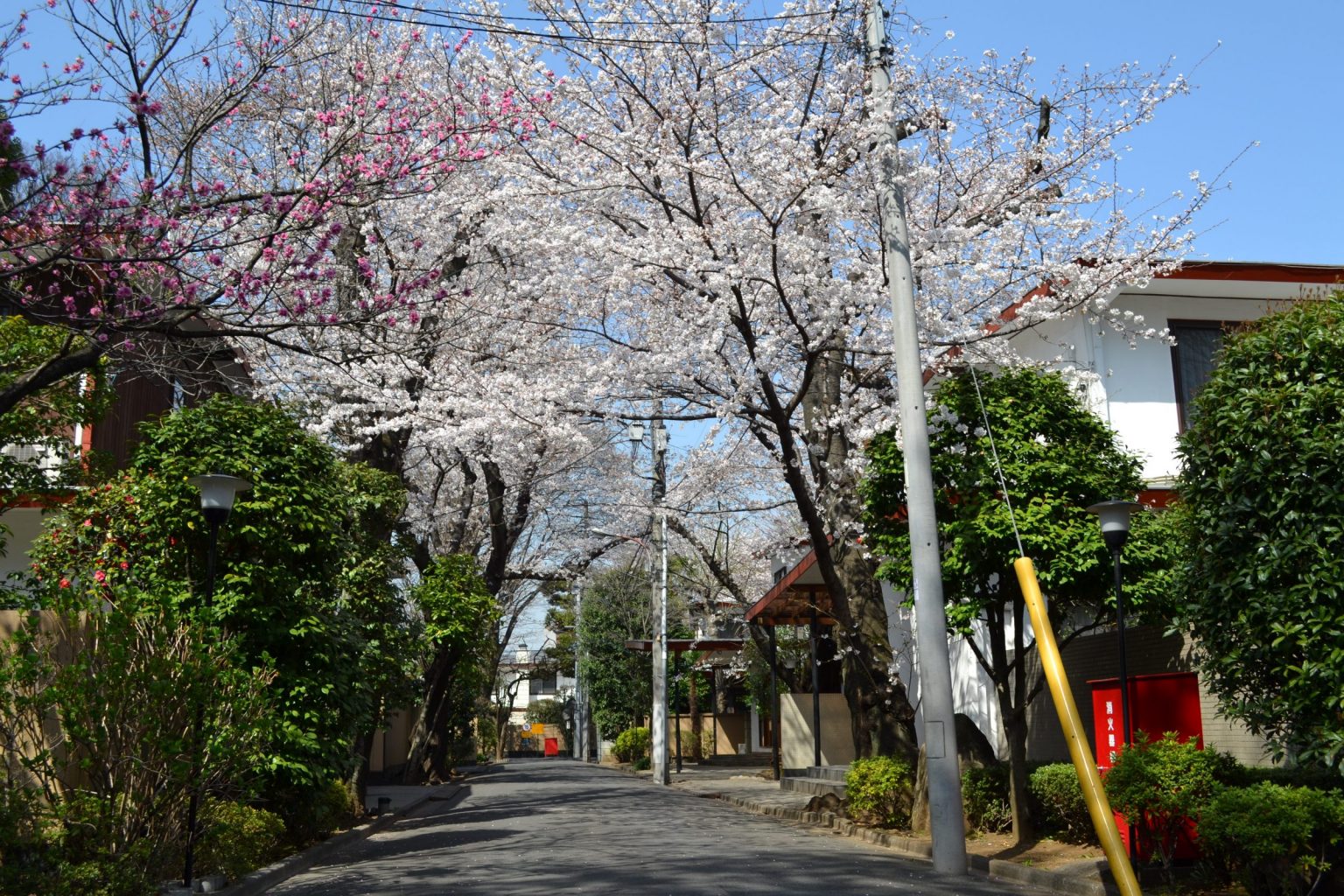 Tokugawa Village