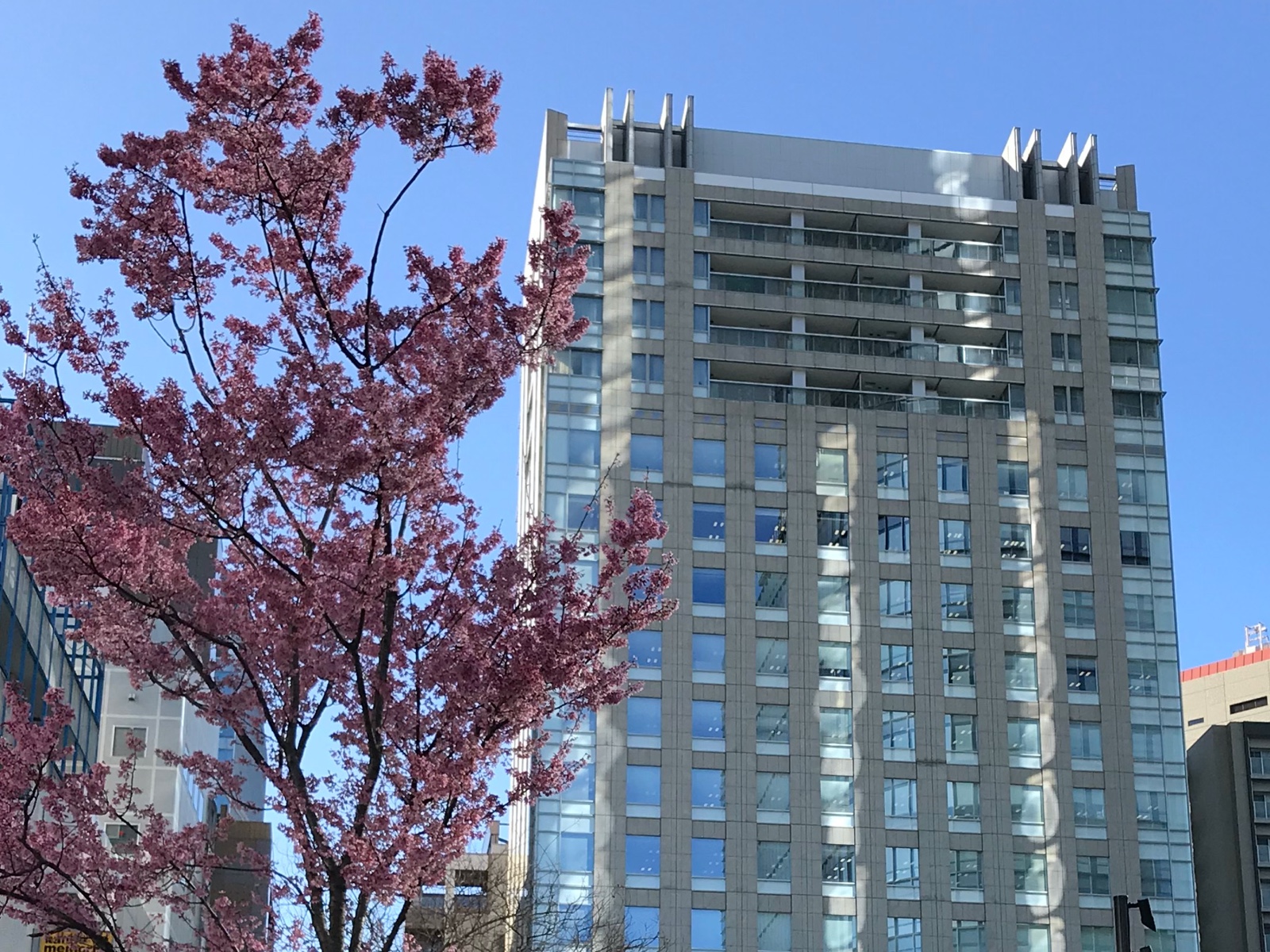Royal Pine Residence Sun Realty Luxury Apartment in Tokyo